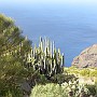 Teneriffa 2010 (11)